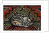 Third Carpet-Cat-Patch by Ditz Ditz