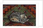 Third Carpet-Cat-Patch by Ditz Ditz