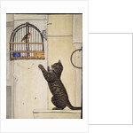 The Essuaira-Bird by Ditz Ditz