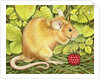The Raspberry-Mouse by Ditz Ditz