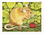 The Raspberry-Mouse by Ditz Ditz