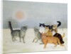 Winter-Cats by Ditz Ditz