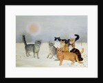 Winter-Cats by Ditz Ditz
