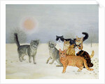 Winter-Cats by Ditz Ditz