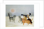 Winter-Cats by Ditz Ditz