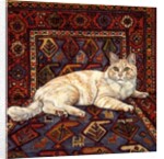 Shortcake, 1993 by Ditz Ditz