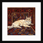 Shortcake, 1993 by Ditz Ditz