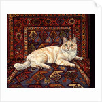 Shortcake, 1993 by Ditz Ditz