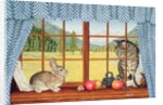 Rimrock Cottontail, 1993 by Ditz Ditz