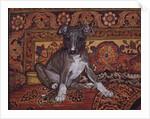 My Whippet Baby, 1994 by Ditz Ditz