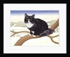 Bare Branches, No.2, 1994 by Ditz Ditz