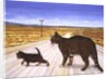 Saratoga Crossing, 1995 by Ditz Ditz
