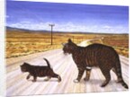 Saratoga Crossing, 1995 by Ditz Ditz