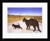 Saratoga Crossing, 1995 by Ditz Ditz