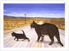 Saratoga Crossing, 1995 by Ditz Ditz