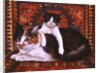 Kit-Cat-Carpet, 1995 by Ditz Ditz
