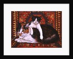 Kit-Cat-Carpet, 1995 by Ditz Ditz