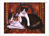 Kit-Cat-Carpet, 1995 by Ditz Ditz