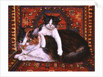 Kit-Cat-Carpet, 1995 by Ditz Ditz