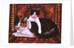 Kit-Cat-Carpet, 1995 by Ditz Ditz