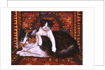 Kit-Cat-Carpet, 1995 by Ditz Ditz