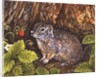 Eagle Creek, Wild Strawberry, Ground Squirrel, 1995 by Ditz Ditz