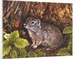 Eagle Creek, Wild Strawberry, Ground Squirrel, 1995 by Ditz Ditz