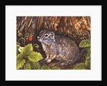 Eagle Creek, Wild Strawberry, Ground Squirrel, 1995 by Ditz Ditz