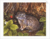 Eagle Creek, Wild Strawberry, Ground Squirrel, 1995 by Ditz Ditz
