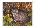 Eagle Creek, Wild Strawberry, Ground Squirrel, 1995 by Ditz Ditz