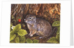 Eagle Creek, Wild Strawberry, Ground Squirrel, 1995 by Ditz Ditz