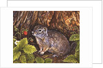 Eagle Creek, Wild Strawberry, Ground Squirrel, 1995 by Ditz Ditz