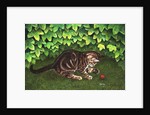 The Strawberry-Kitten, 1996 by Ditz Ditz