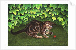 The Strawberry-Kitten, 1996 by Ditz Ditz