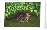 The Strawberry-Kitten, 1996 by Ditz Ditz