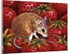 Strawberry-Mouse, 1995 by Ditz Ditz