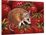 Strawberry-Mouse, 1995 by Ditz Ditz