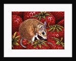 Strawberry-Mouse, 1995 by Ditz Ditz