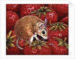 Strawberry-Mouse, 1995 by Ditz Ditz