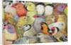 Patchwork-Birds, 1995 by Ditz Ditz