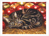 Right-Hand Apple-Cat, 1995 by Ditz Ditz