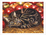 Right-Hand Apple-Cat, 1995 by Ditz Ditz