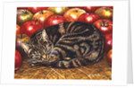 Right-Hand Apple-Cat, 1995 by Ditz Ditz