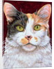 Marigold, 1997 by Ditz Ditz