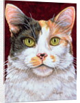 Marigold, 1997 by Ditz Ditz