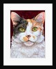 Marigold, 1997 by Ditz Ditz