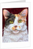 Marigold, 1997 by Ditz Ditz