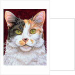Marigold, 1997 by Ditz Ditz