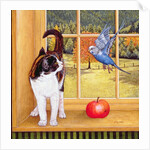 Bird-Watching, 1996 by Ditz Ditz