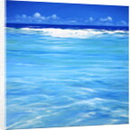 Over the Reef by Derek Hare